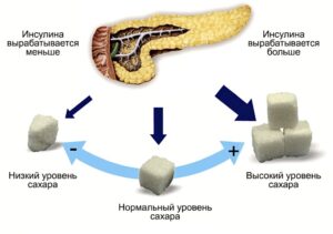 инсулин